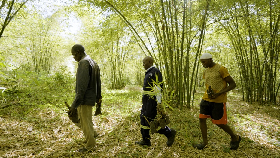 Chine-Afrique 2035 : redéfinir le futur  L'avenir en vert